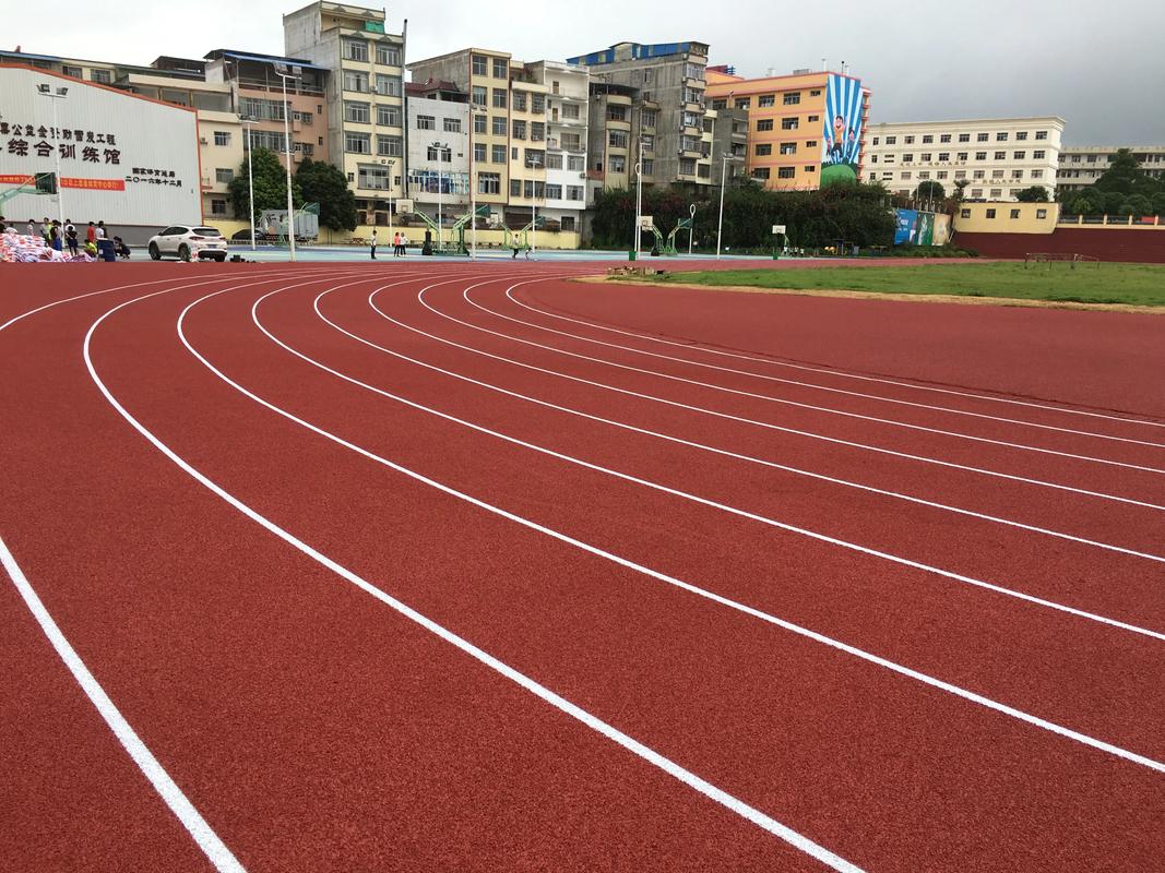 池州市硅PU材料塑胶跑道材料 - 方案